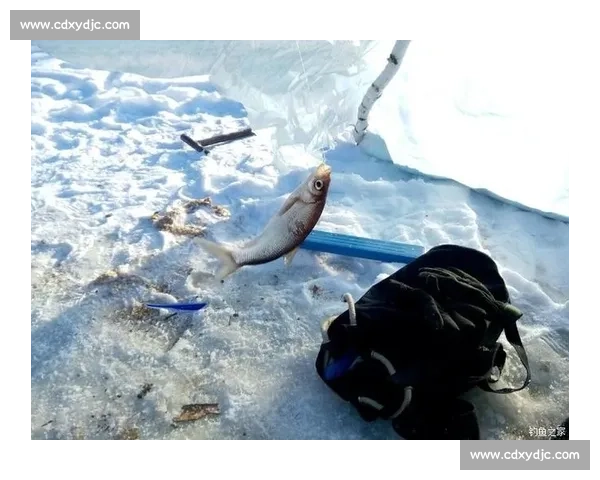 极寒湖面冰钓竞技盛会挑战耐力与技巧极限