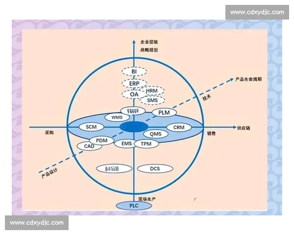 企业项目管理系统优化与协同运营提升方案研究
