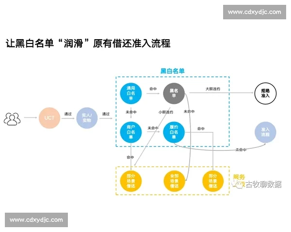 基于数据分析的体育阵容优化策略与实践研究