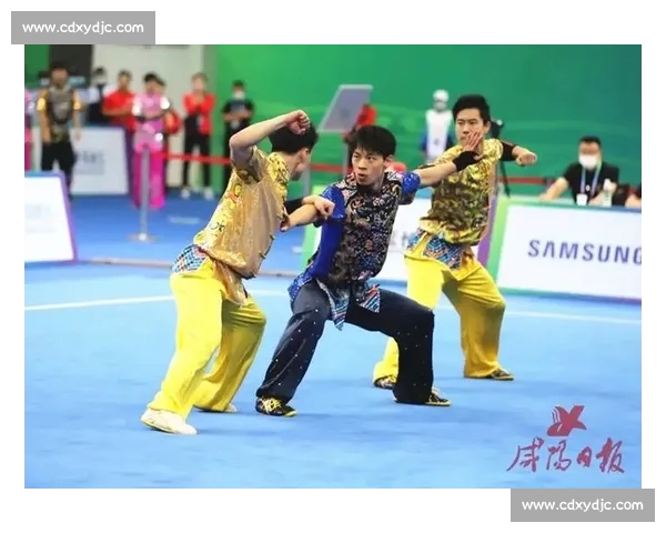 武林风精彩赛事全集 全面回顾武术风云激战与英雄对决